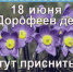 Наш календарь. 18 июня - Газета Ангарский рабочий