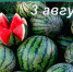 Наш календарь. 3 августа - Газета Ангарский рабочий